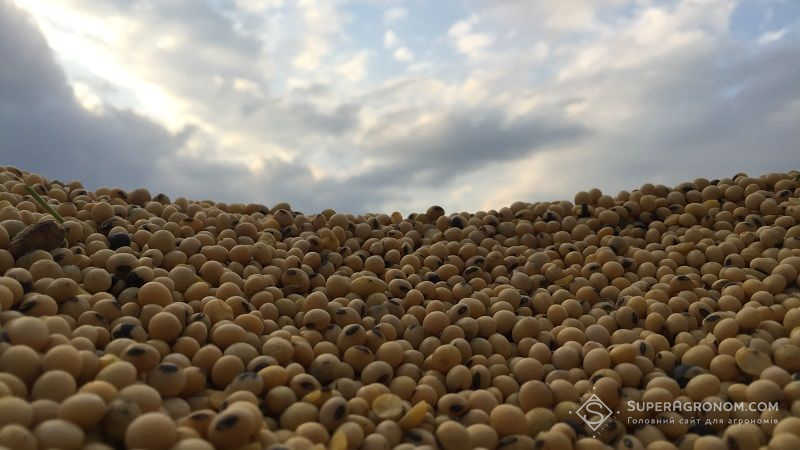Держпродспоживслужба відзвітувала про поширеність ГМО сої в Україні