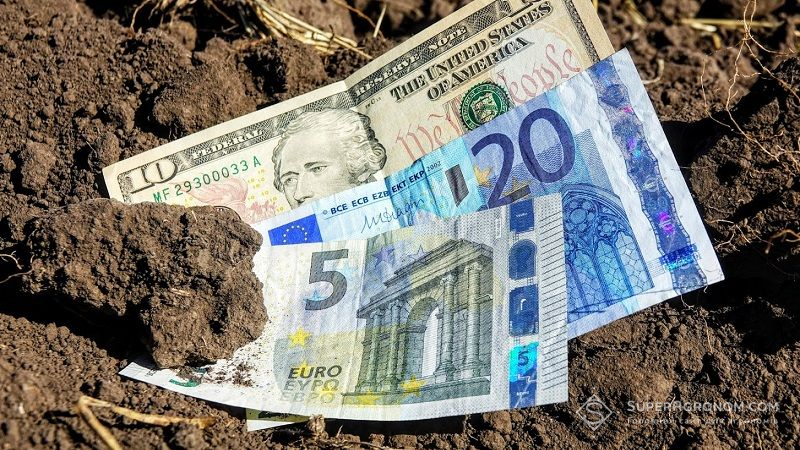 Мільярд євро на порятунок агробізнесу Франції: уряд ліквідовує наслідки квітневих морозів