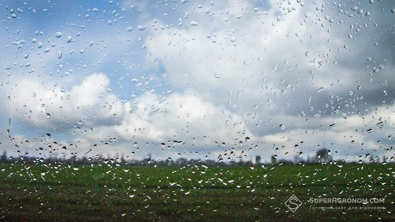 Посівна в Білорусі ускладнюється через дощі: значне перезволоження ґрунту