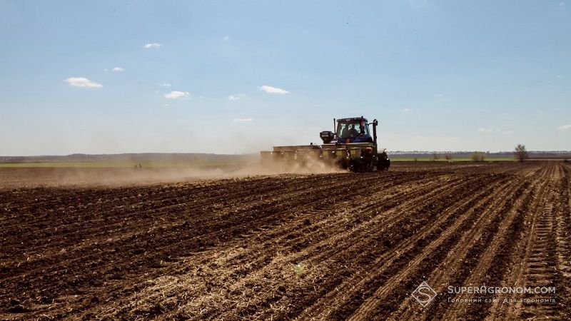 Українські аграрії майже завершили сівбу цукрових буряків та пшениці