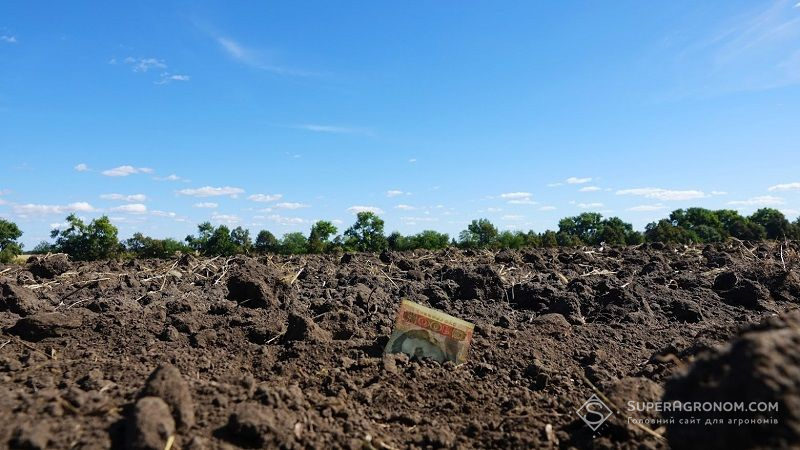Відкриття ринку землі зробить агросектор рушійною силою економіки України, — Денис Шмигаль
