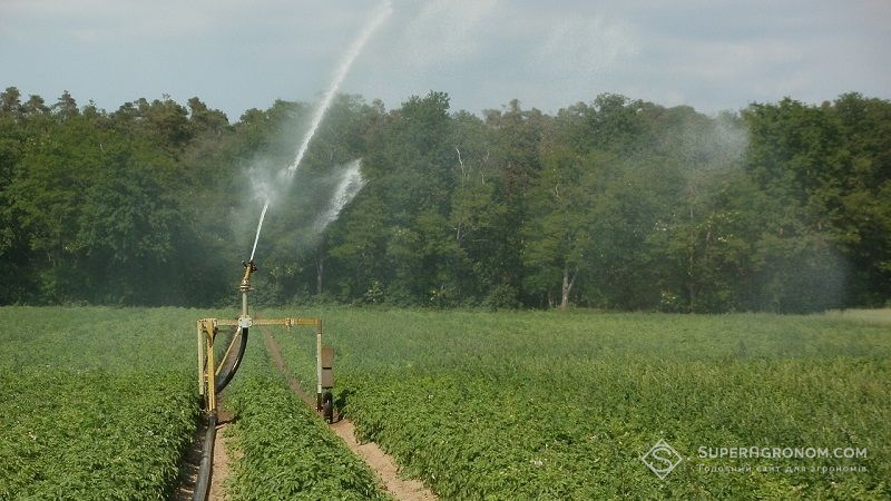 Аграрії Полтавщини змушені активувати зрошувальні системи: падіння рівня вологозабезпеченості