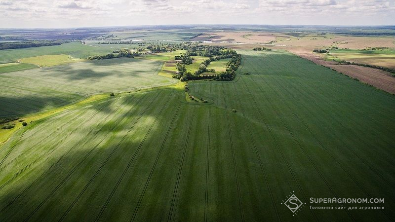 В Україні запустять Державний аграрний реєстр, — Тарас Дзюба