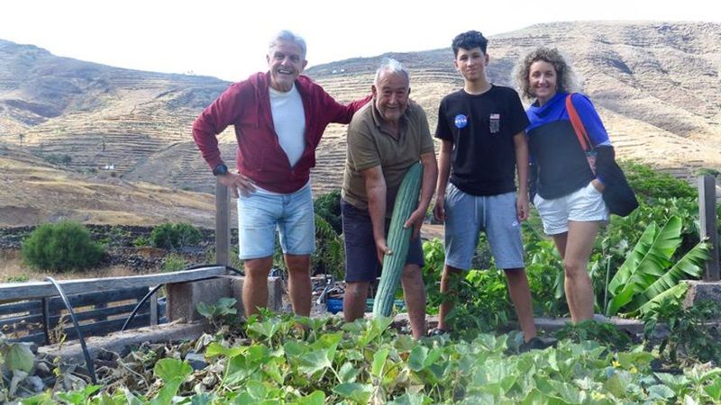 Іспанський аграрій виростив гігантський огірок, що потрапив до Книги рекордів Гіннеса