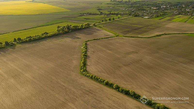 В Україні здійснили 381 земельну транзакцію: звіт щодо роботи ринку землі