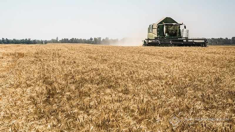 Аграрії Херсонщини зібрали перший мільйон тонн урожаю агросезону-2021