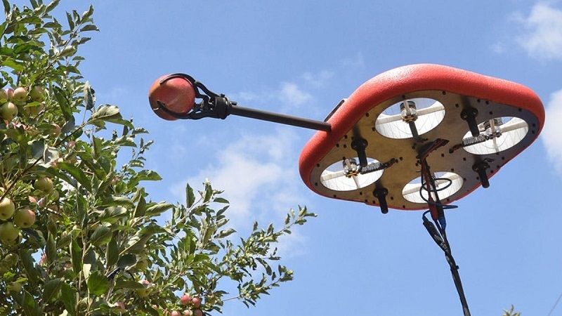 Ізраїльська корпорація розробила автономного дрона-збирача фруктів, що працює без людей
