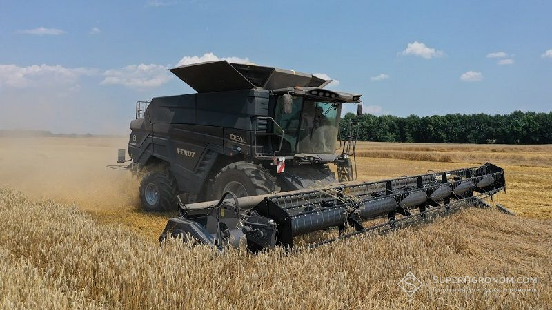 Прогноз валового збору озимої пшениці в Німеччині знижено
