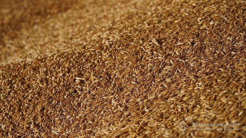 Українські аграрії намолотили близько 35 млн тонн зерна ранніх культур