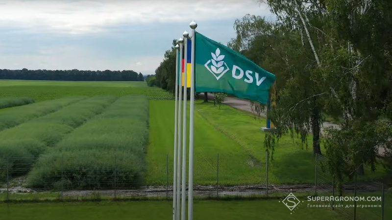 DSV та Ерідон продемонстрували українським аграріям новинки гібридів ріпаку та зернових