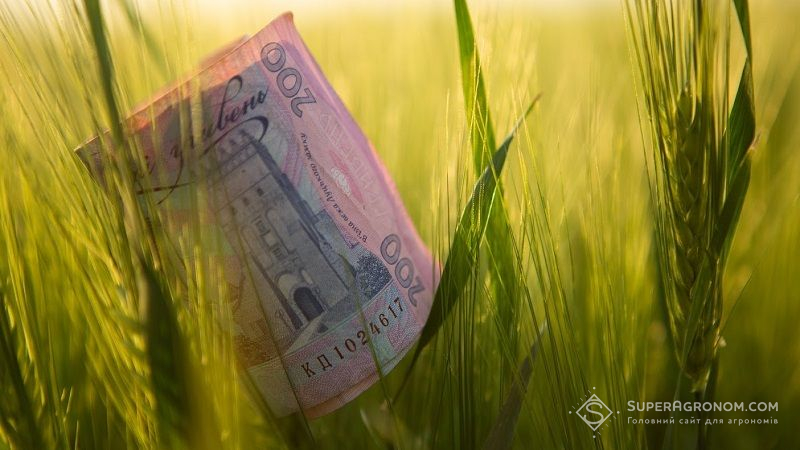 В Україні створять Державний аграрний реєстр: Уряд виділив кошти