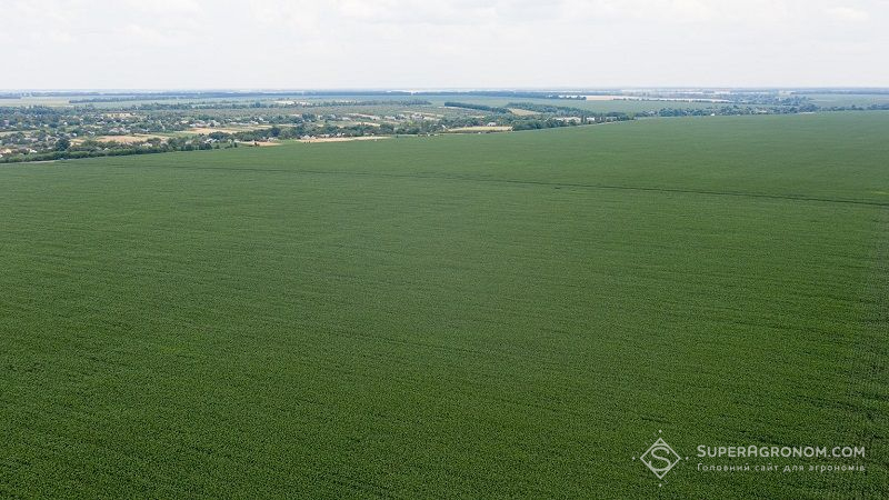 В Україні зареєстровано понад 7,9 тис. земельних угод: звіт за 20 серпня