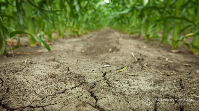 В Україні відзначається сильна посуха, — агрометеорологічний звіт