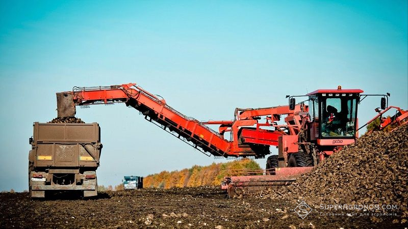 Аграрії семи областей України викопали понад 500 тис. тонн цукрових буряків