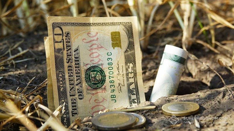 Озвучено вартість зернових та зернобобових культур — звіт Zernotorg.ua за 28 вересня