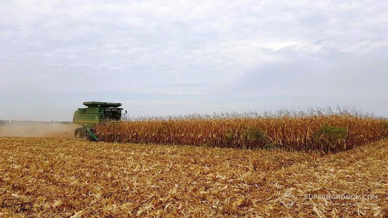 Вінниччина увійшла в ТОП-3 областей України за врожайністю зернових культур