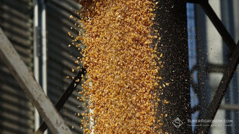 Ціни на зерно стабільно підвищуватимуться, але невеликими темпами, — думка