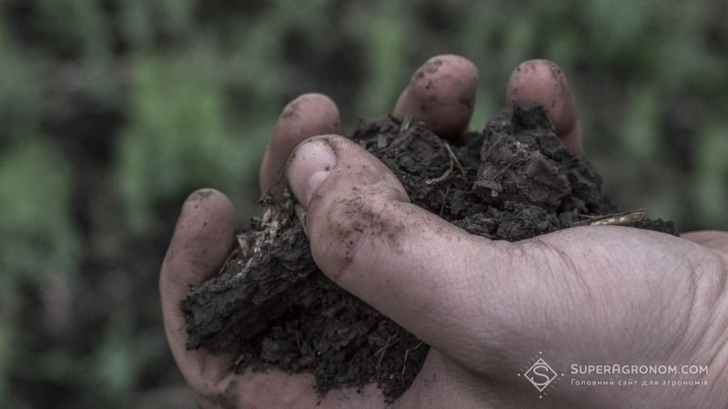 Вологість ґрунту в Україні різко знизилась
