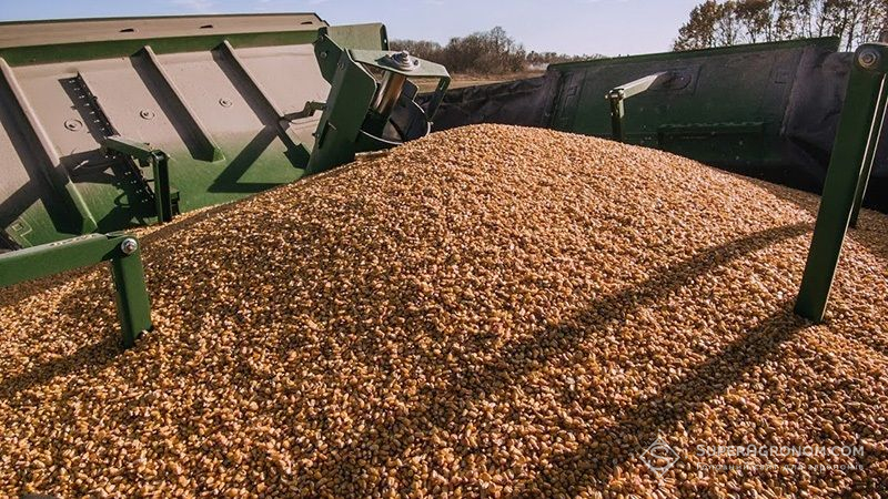 Харківщина стала лідером за показником валового збору зерна