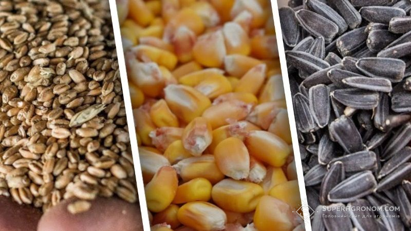 Ціни на зернові культури та соняшник в Україні підвищились