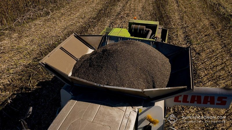 Жнивна кампанія в Україні завершена на 95%, зібрано майже 80 млн тонн зерна
