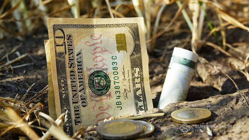 В Україні знизились ціни на зернові культури та соняшник