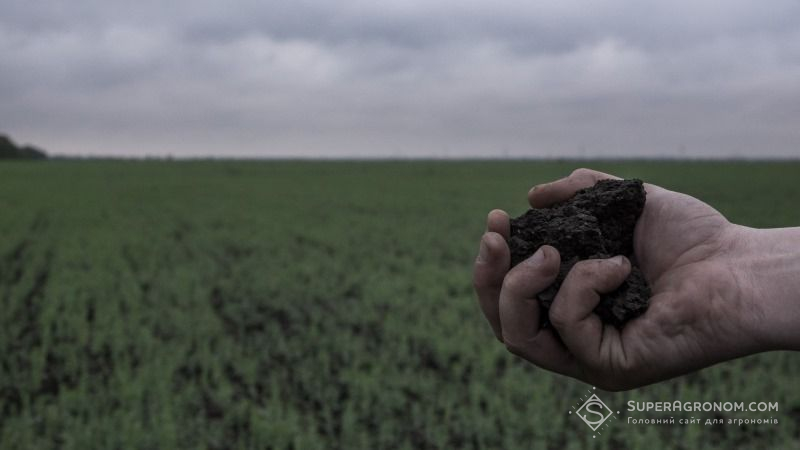 За останні 130 років українські землі втратили 30% гумусу