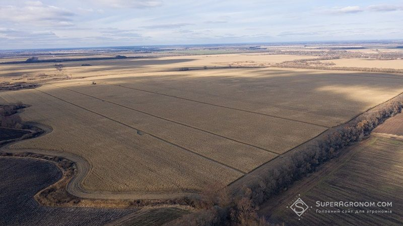 Ціни на землю сільгосппризначення в Україні зросли