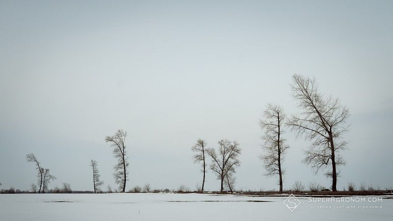 В Україні очікуються дощі, сніг та ожеледиця