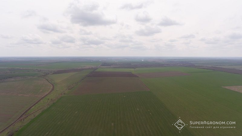 Названо ТОП-10 найдорожчих земельних ділянок в Україні, проданих за минулий тиждень