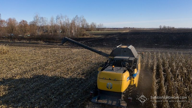 Полтавщина зайняла друге місце за валовим збором зернових культур в Україні у 2021