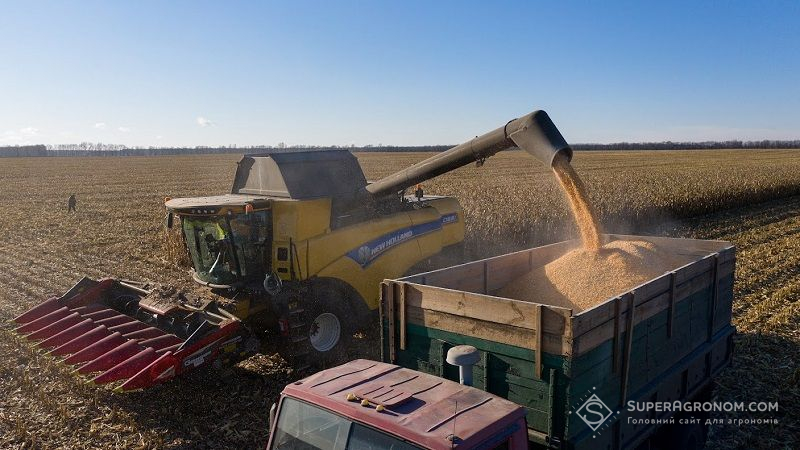 Івано-Франківщина увійшла до списку рекордсменів за врожайністю сільгоспкультур в агросезоні-2021
