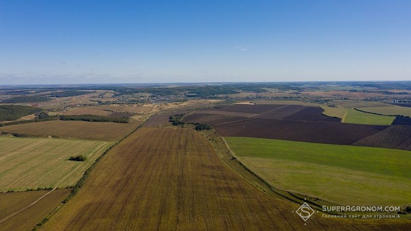 Озвучено середньозважену ціну на землю в Україні — аналіз другого півріччя 2021 р.