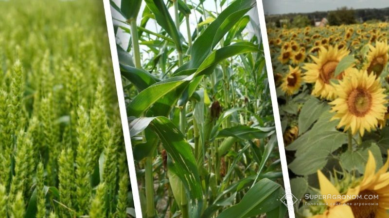 LNZ Group проведе серію конференцій про технології вирощування сільгоспкультур