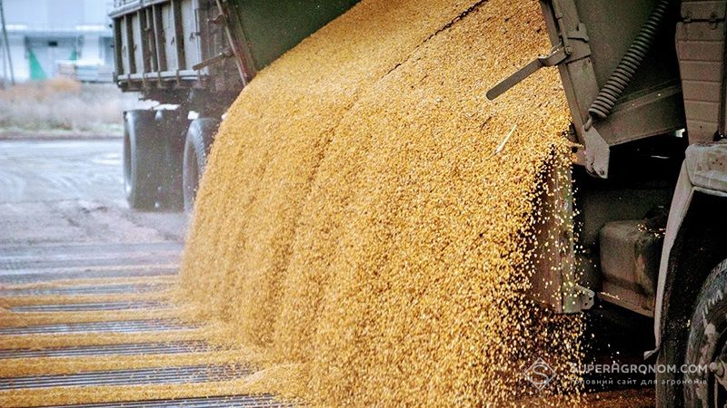 Опубліковано звіт щодо цін на зерно в українських портах