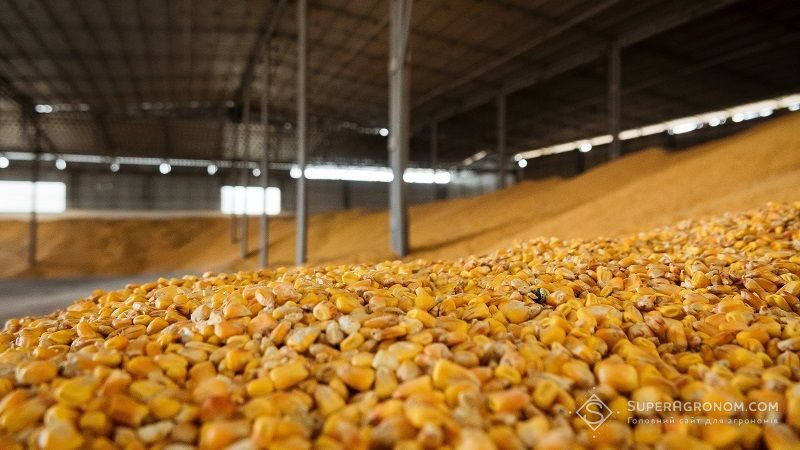 Українські аграрії не поспішають продавати урожай 2021 р. — брокери