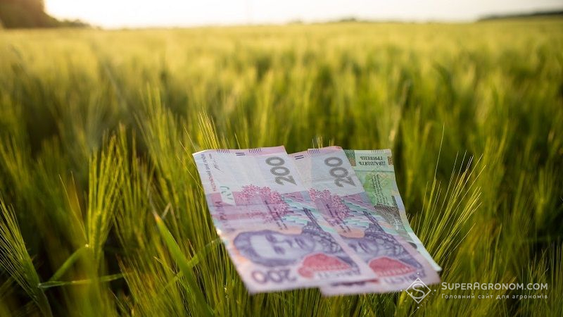 Опубліковано звіт щодо цін на зернові та олійні культури в Україні