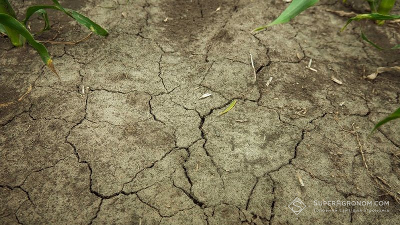 У Бразилії чергова серйозна посуха: виробництво сої та кукурудзи під загрозою