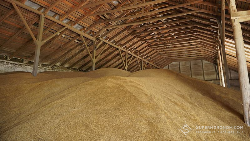 Зерно та інші запаси продовольства будуть викуплені в обсягах річного споживання країни — Шмигаль