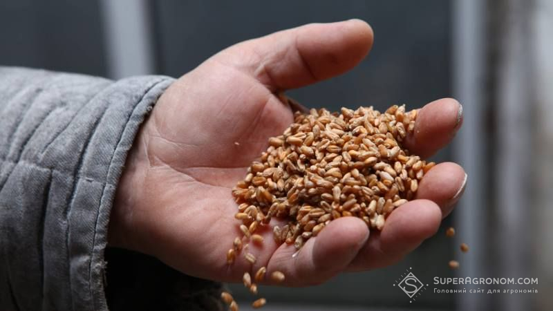 У аграріїв з’явилась можливість продати зерно через Платформу допомоги