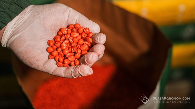 Уряд спростив імпорт насіння в Україну, але закликав купувати вітчизняне 