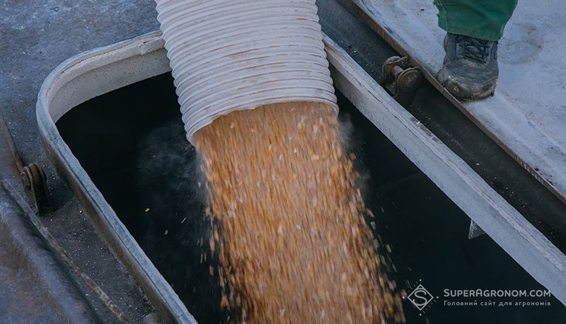 З окупованих територій вкрадено і вивезено рф декілька сот тисяч тонн зерна