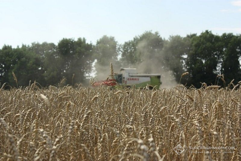 На Одещині очікують зібрати врожай в обсязі 60% від минулого року