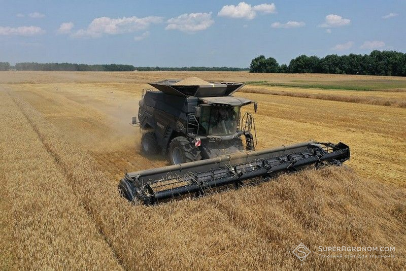 Збирання пшениці