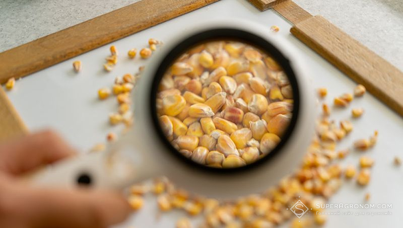 Аналіз якості щерна кукурудзи