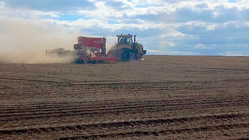 Площі під озимою пшеницею скоротили в Agricom Group — пізно зібрали попередники