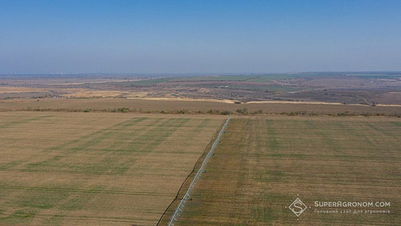 На окупованих територіях фірма соратника путіна захоплює землі українських агрохолдингів