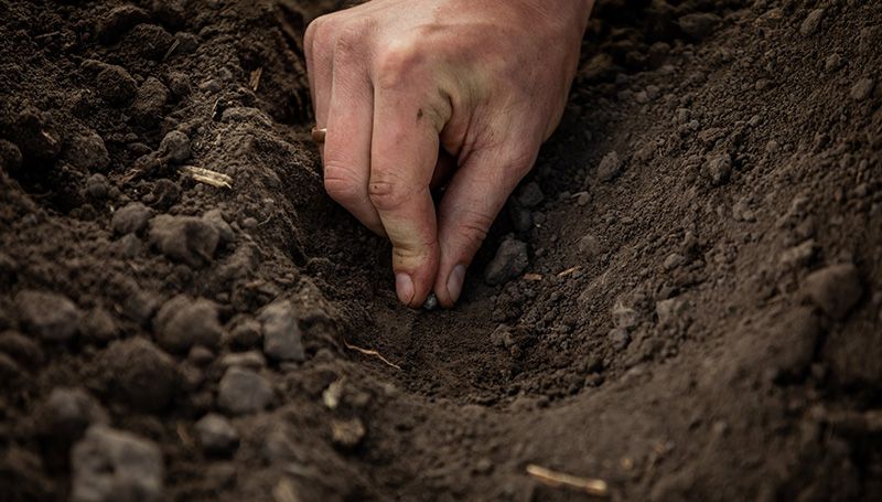 Колії від трактора після обробітку ґрунту — фахівці пояснили як боротися під час сівби сої