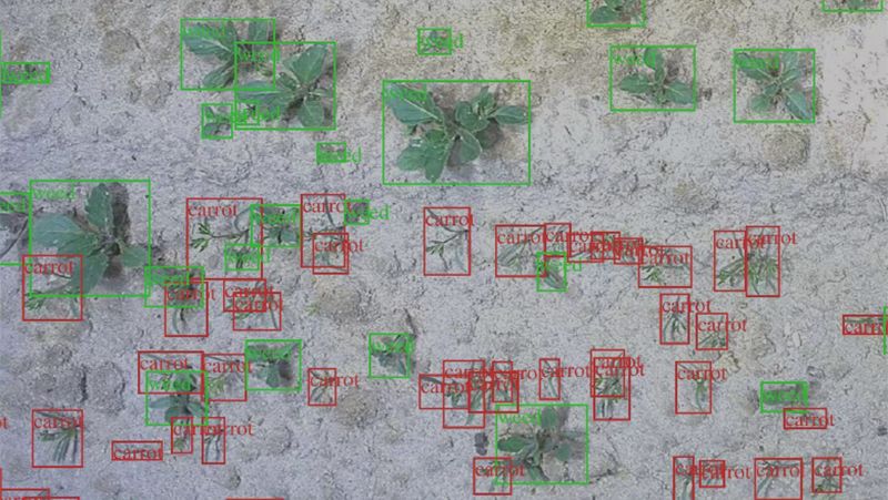 Робот з допомогою штучного інтелекту розпізнає кожну рослину на полі і застосовує агрозаходи з сантиметровою точністю