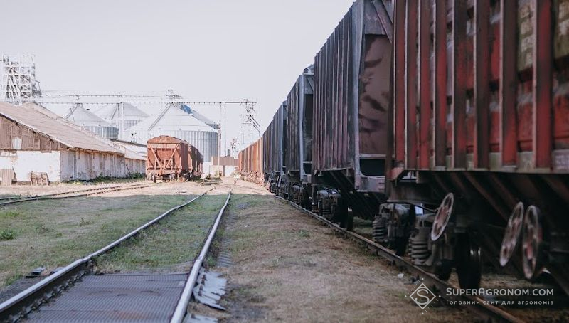 Зернові вантажі займають найбільшу частку експортних перевезень Укрзалізниці — 38%